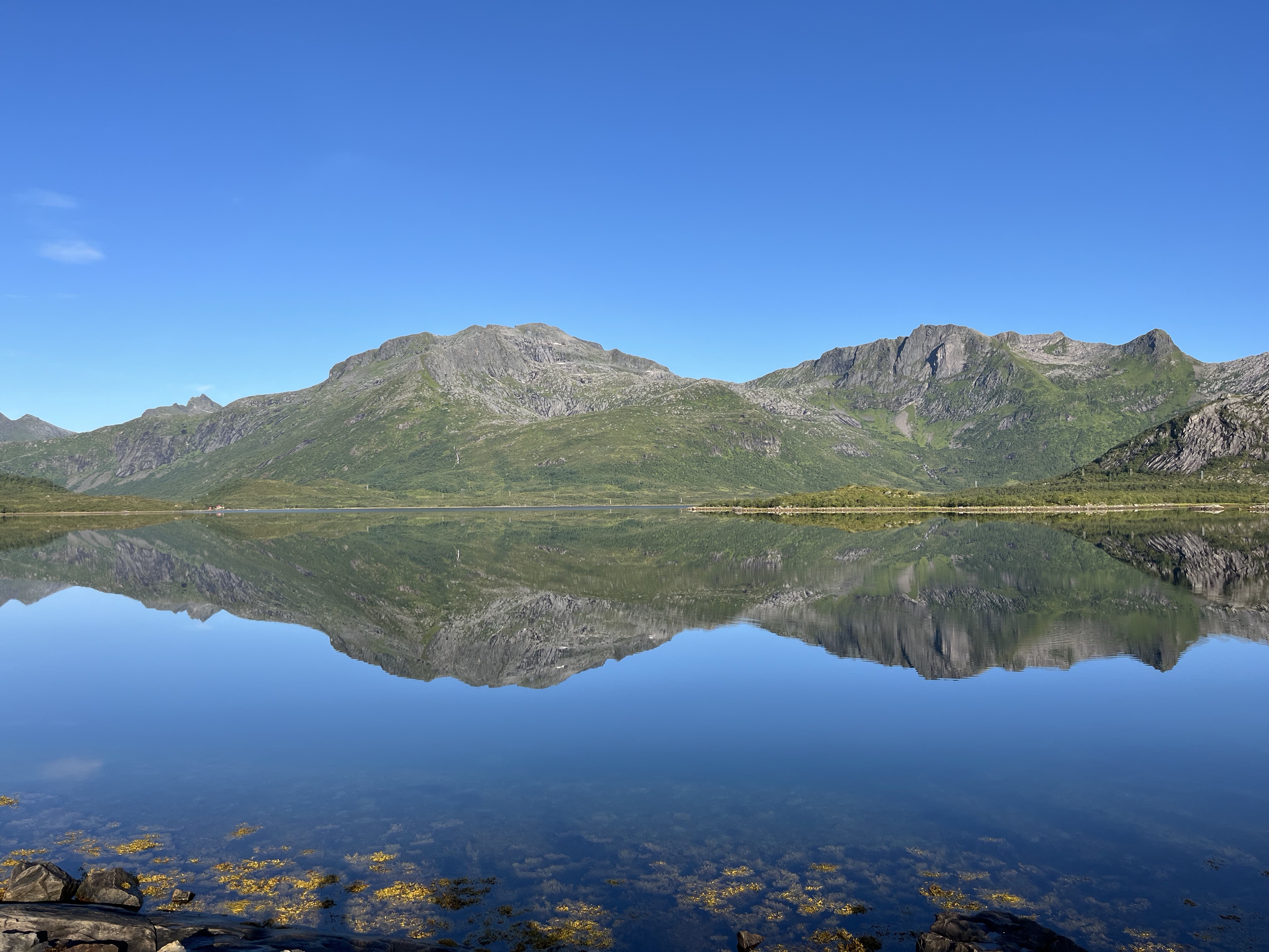 Water - IMG_1595.jpeg